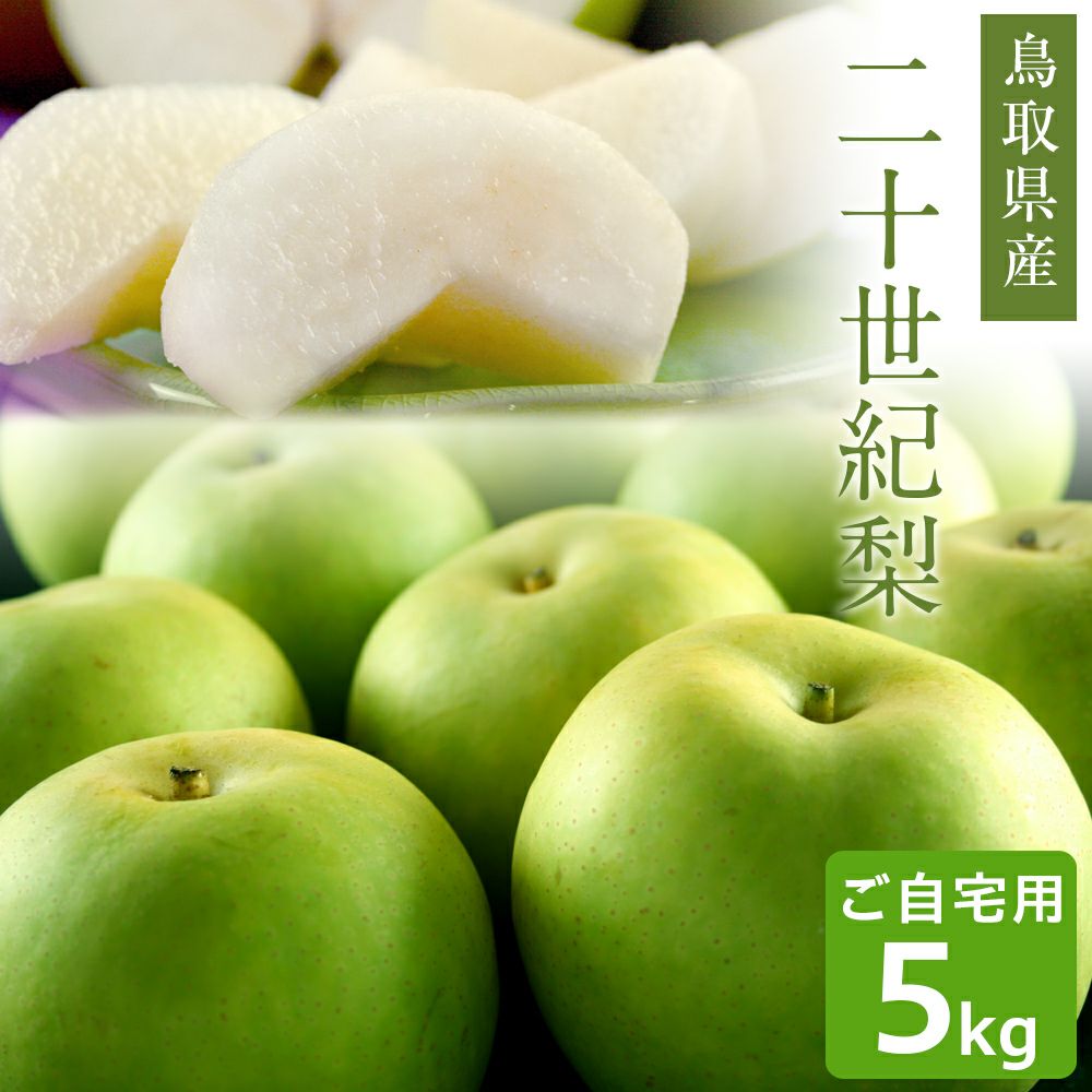 鳥取県産 二十世紀梨（20世紀梨）5kg詰（16玉前後入） 訳あり（ご自宅