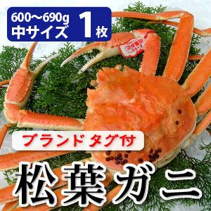 松葉ガニ姿（ご贈答用） | 風味絶佳.山陰