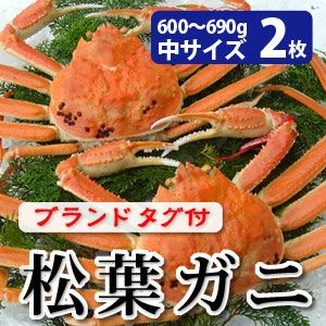 松葉ガニ600～690g（中サイズ）×2枚 日本海産 未冷凍 送料無料 | 風味