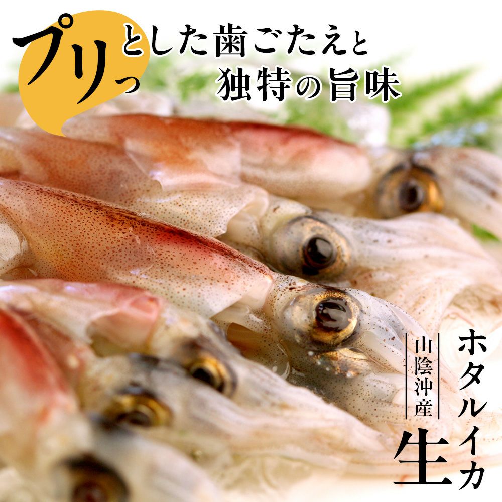 ホタルイカ | 風味絶佳.山陰