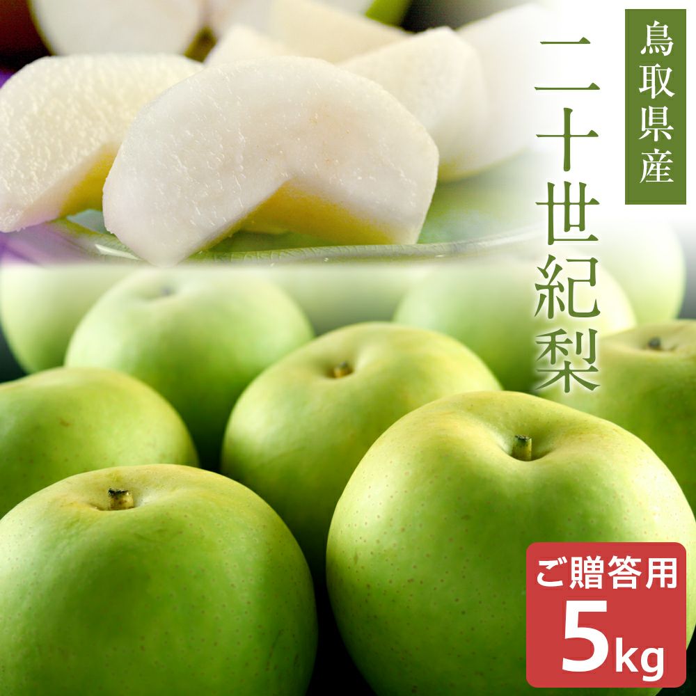 鳥取県産 二十世紀梨（20世紀梨）5kg詰（14玉前後入） 赤秀（ご贈答用