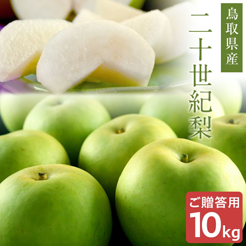 梨　二十世紀　家庭用　10㎏ 2026年産 先行予約】【梨 二十世紀梨 約5kg 10～20玉 1玉250～500g