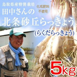 鳥取県産特別栽培 田中さんの北条砂丘らっきょう5kg（根付き土付き