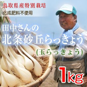 000000000474-01.jpg?size=m&w=