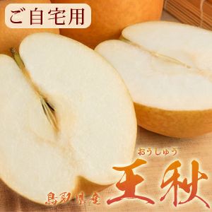 王秋梨（おうしゅうなし）5kg詰（5～12玉入） 鳥取県産 訳あり（ご自宅