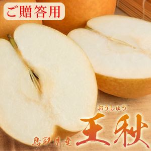 新春セール　梨　王秋　家庭用　20㎏ ご自宅用】鳥取県産 王秋梨(おうしゅうなし）3.5kg（5～6玉）: 全農
