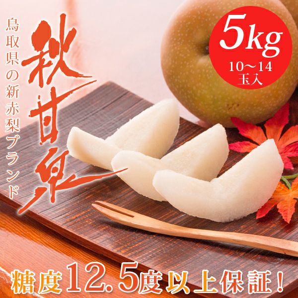 秋甘泉（あきかんせん）5kg詰（8～14玉入）梨 鳥取県産 赤秀 送料無料