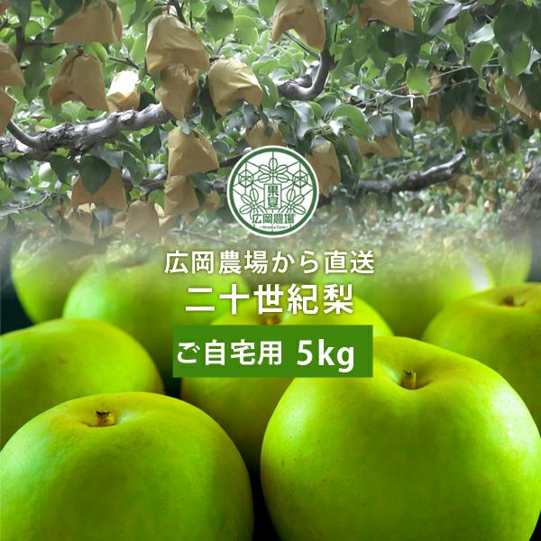 果物 YuzuRin20kg 訳あり 河内晩柑 約 13kg 後藤農園 | 柑橘 みかん フルーツ 家庭用