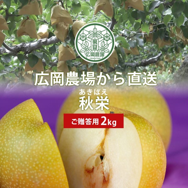 広岡農場の秋栄（あきばえ）梨 2kg詰（5～6玉入） 鳥取県産 赤秀（ご