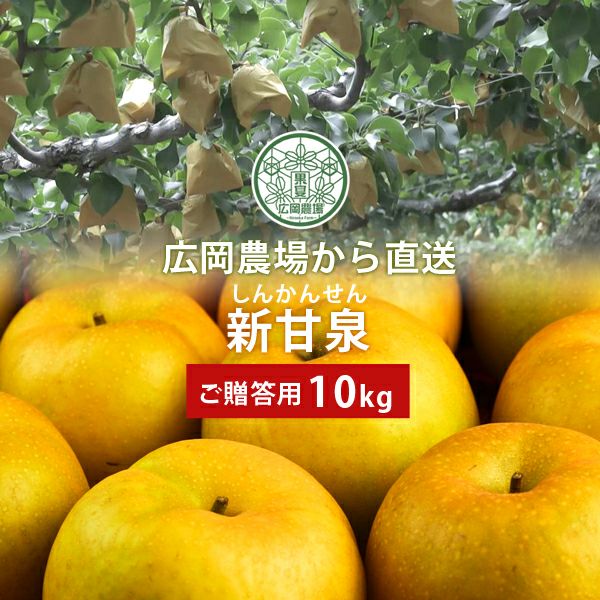 梨　新甘泉　10kg 中玉　yo 広岡農場の新甘泉（しんかんせん）梨 10kg詰（14～32玉入） 鳥取県産