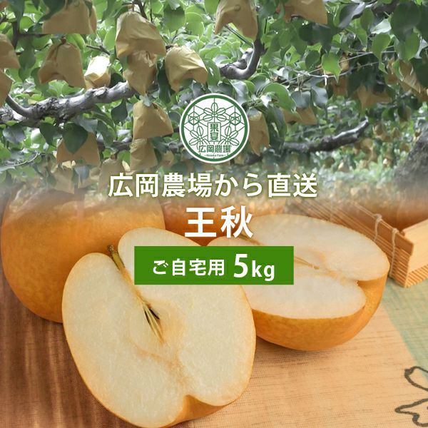 広岡農場の王秋梨（おうしゅうなし）5kg詰（6～10玉入） 鳥取県産 訳