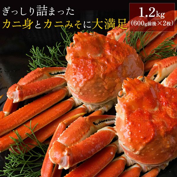 ボイルズワイガニ姿1.2kg（600g前後×2枚セット） かに カニ 蟹 送料