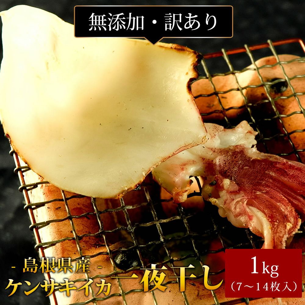 剣先イカ 一夜干し1kg（7～14枚入） 訳あり 島根県産 ケンサキイカ 白