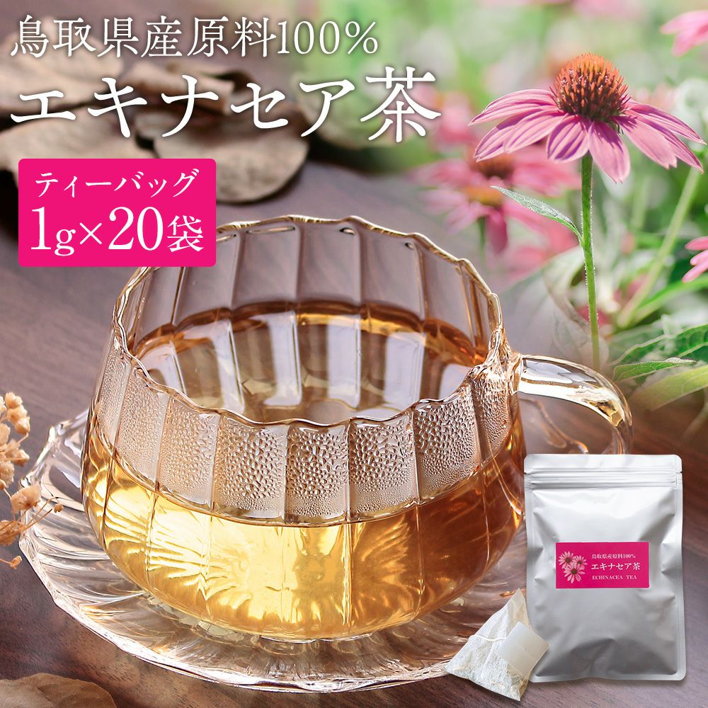 エキナセア茶 20袋入 鳥取県産原料100％ エキナセア（プルプレア種