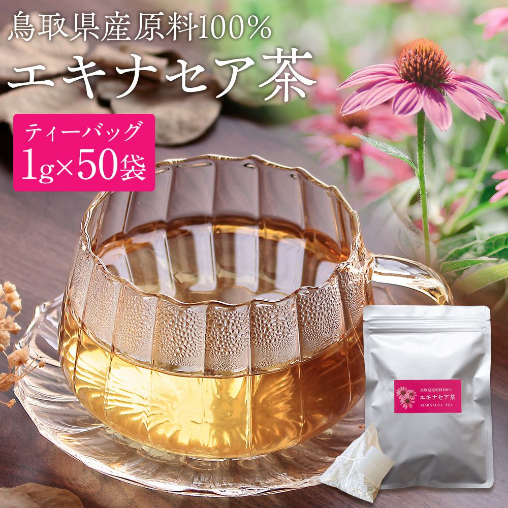 エキナセア茶 50袋入 鳥取県産原料100％ エキナセア（プルプレア種