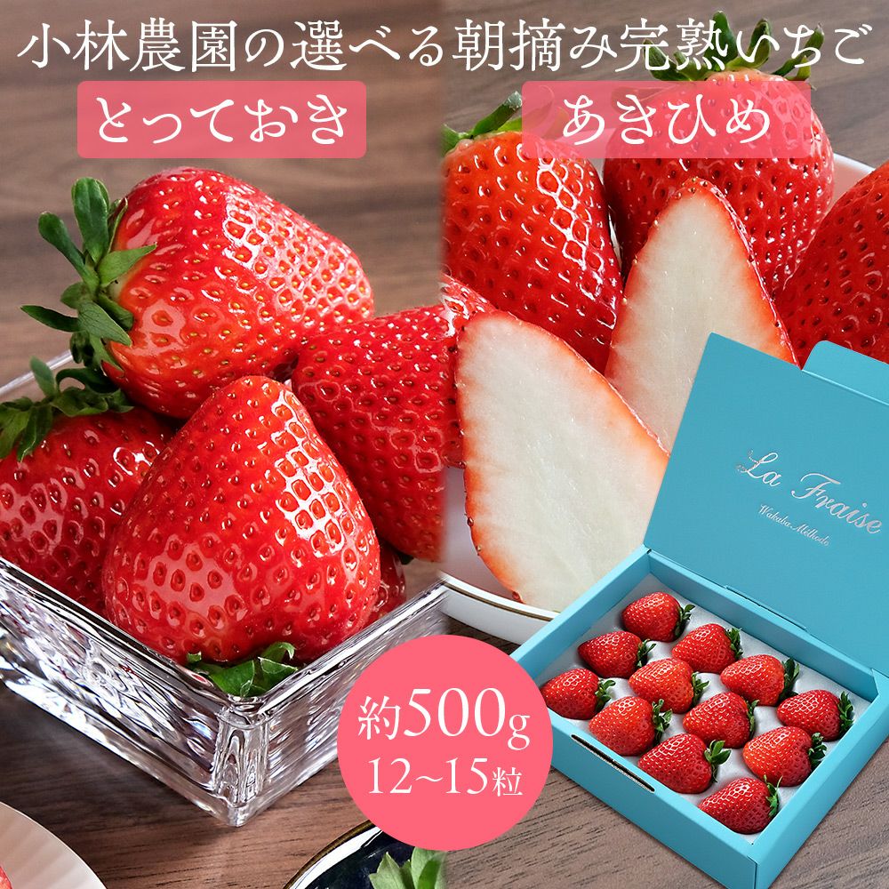 いちばん好き 2冊セット 貴重レア品 小林農園の選べる朝摘み完熟いちご 約500g（12～15粒） 鳥取県