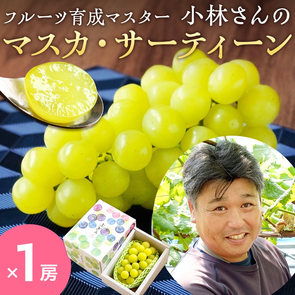 小林農園のマスカ・サーティーン 500g以上×1房 減農薬 鳥取県産 送料