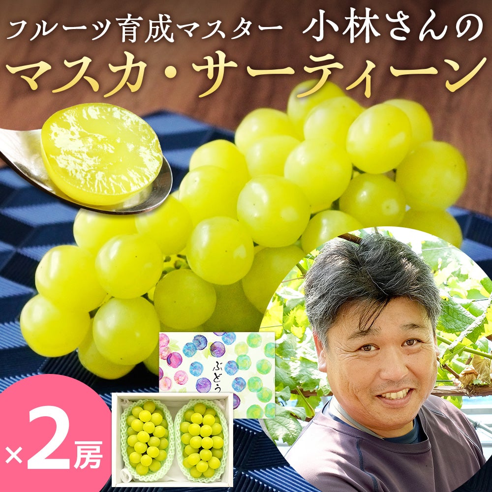 マサマサキングさん専用！シャインマスカット 小林農園のマスカ・サーティーン 500g以上×2房 減農薬 鳥取県産 送料